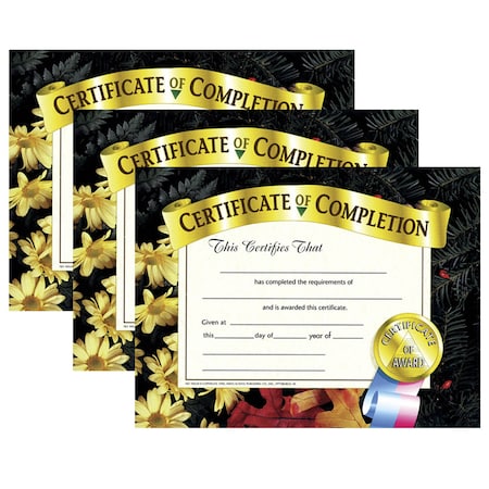 Hayes Certificate of Completion, 8.5in x 11in, PK90, Color: Multi VA524